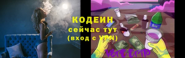 кристаллы Гусь-Хрустальный