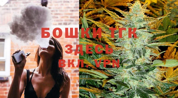 крисы Гусев