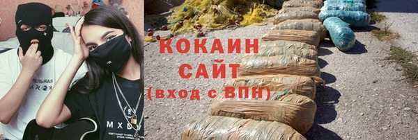 крисы Гусев