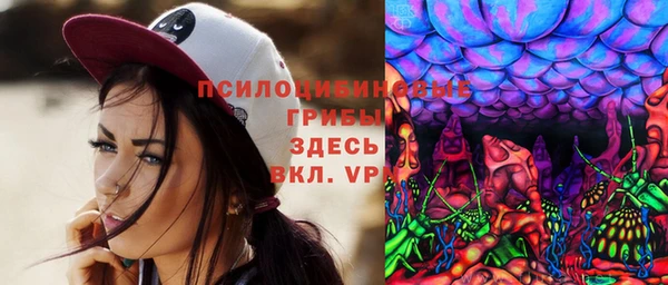кристаллы Гусь-Хрустальный