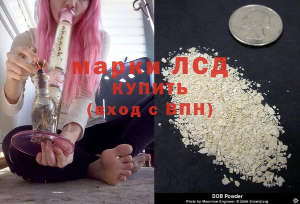 крисы Гусев